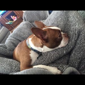 Meet your Posher, Alex